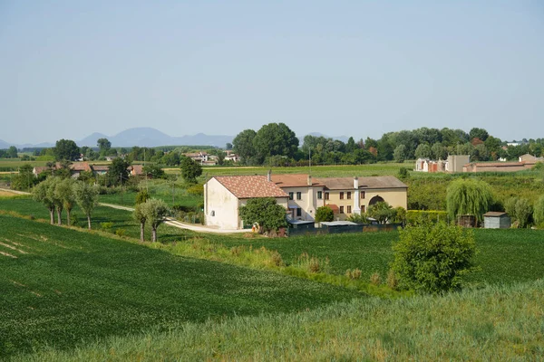 夏にイタリアのヴェネト州パドヴァ県のCastelbaldo近くの農村風景 — ストック写真
