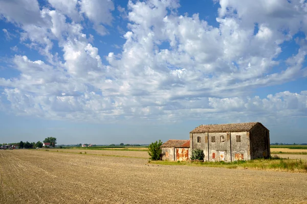 Paysage Rural Polesine Près Rovigo Vénétie Italie Été — Photo