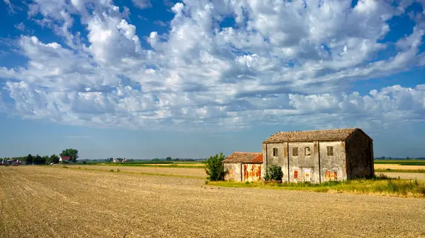 Yaz Mevsiminde Rovigo Veneto Talya Yakınlarındaki Polesine Kır Manzarası — Stok fotoğraf