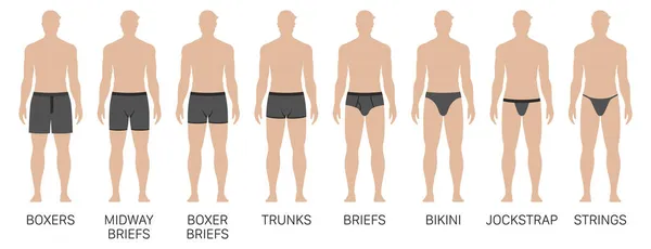 Conjunto vectorial de pantalones de ropa interior para hombre de diferentes tipos. — Vector de stock