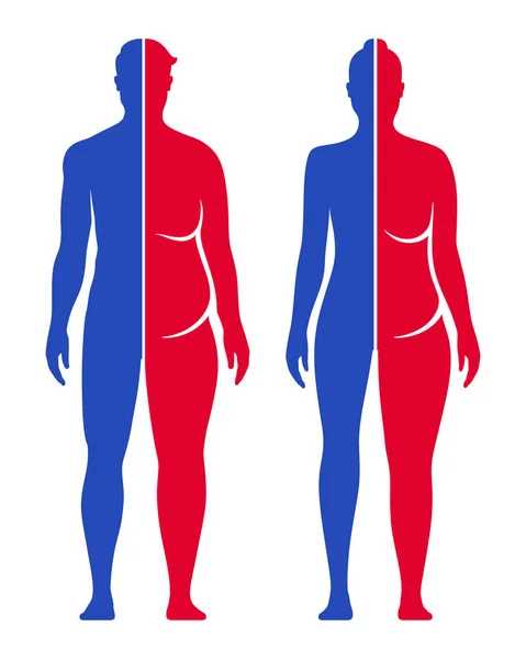 Ilustrasi vektor konseptual penurunan berat badan. Pria dan wanita cocok dan bentuk tubuh lemak perbandingan. - Stok Vektor