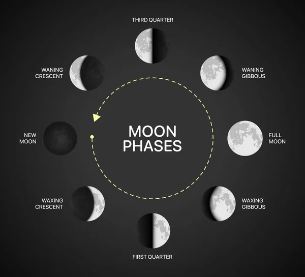 Diagramm-Vektordarstellung der Mondphasen. Infografik zur Umdrehung des Mondlichts auf schwarzem Hintergrund — Stockvektor