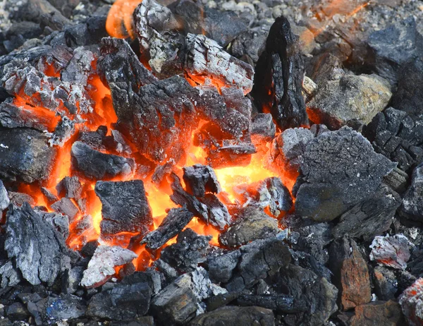 Brennende Holzkohle — Stockfoto