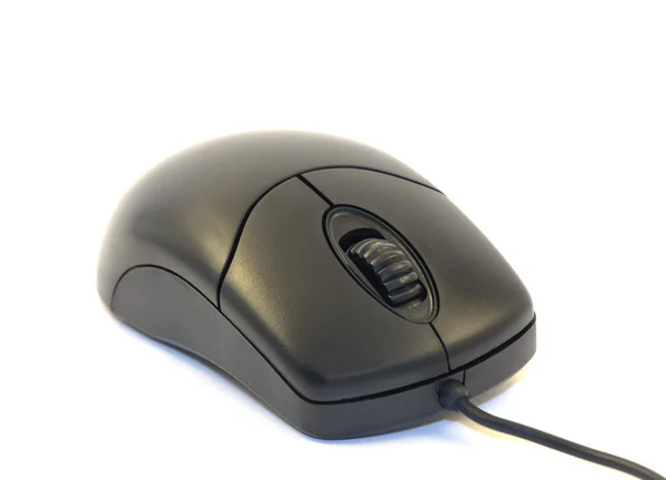 Computer mouse — Stock Photo, Image