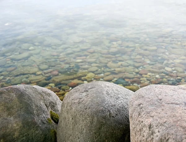 Árvore junto ao lago — Fotografia de Stock