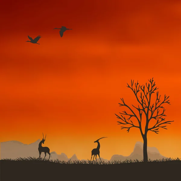 Antilope en arrière-plan du coucher du soleil — Image vectorielle