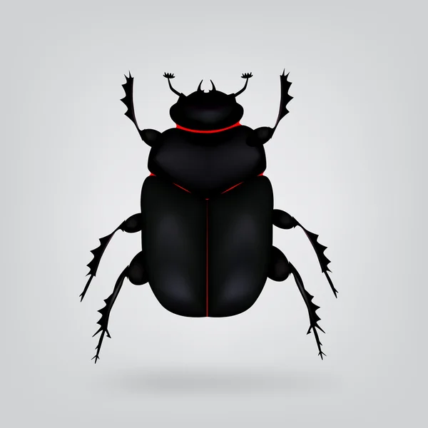 Scarab beetle — Stock Vector