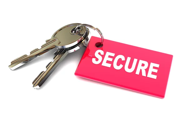 Keys of Security — Stock Photo, Image