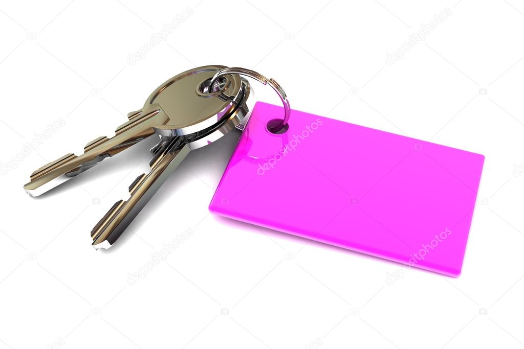 Keys with a Blank Pink Keyring
