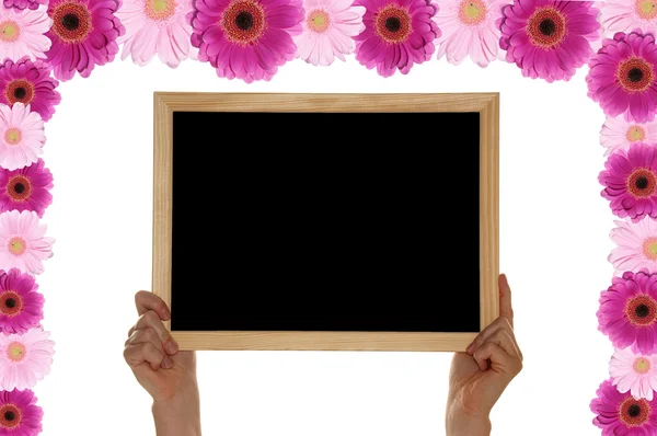 Gerbera Background with Blackboard — Zdjęcie stockowe
