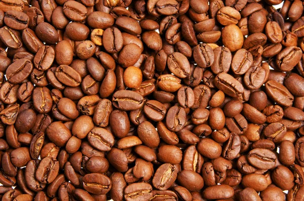 Granos de café — Foto de Stock