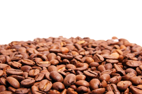 Coffee Beans — Stock Photo, Image