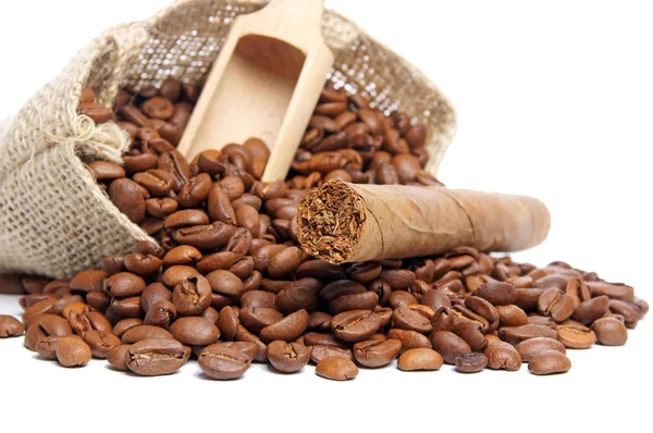 Coffee beans — Stock Photo, Image