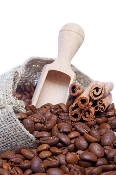 Coffee beans — Stock Photo, Image