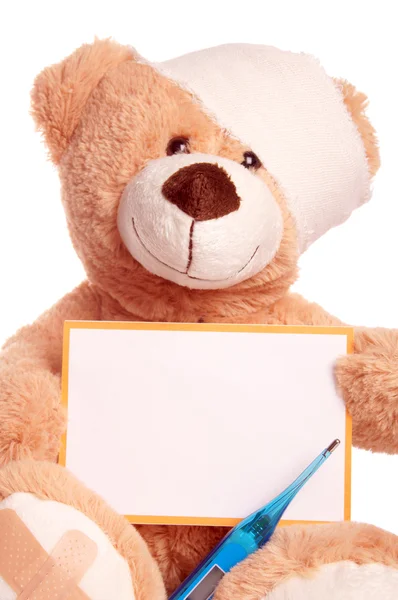 Teddy bear — Stockfoto