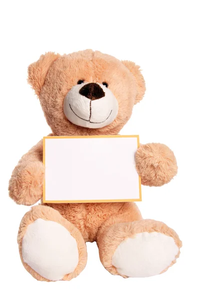 Teddy bear — Stockfoto