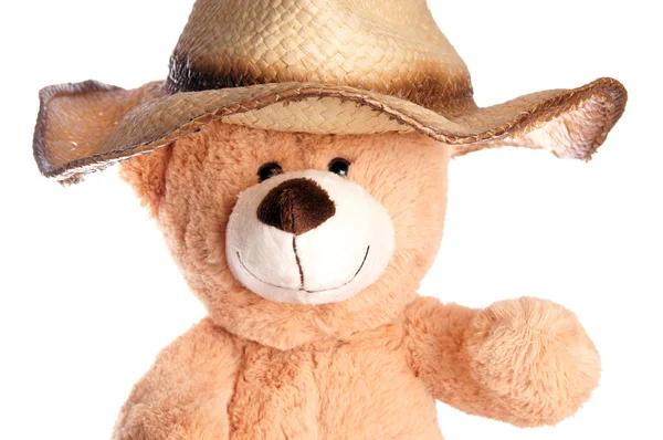 Teddy bear — Stockfoto