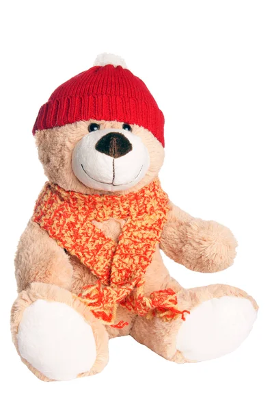 Teddy bear — Stockfoto