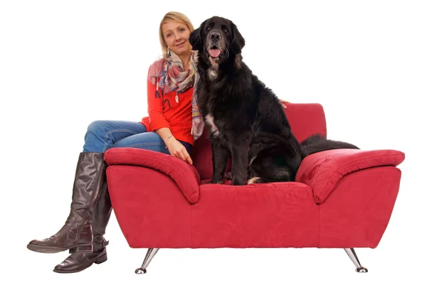 Nő és kutya — Stock Fotó