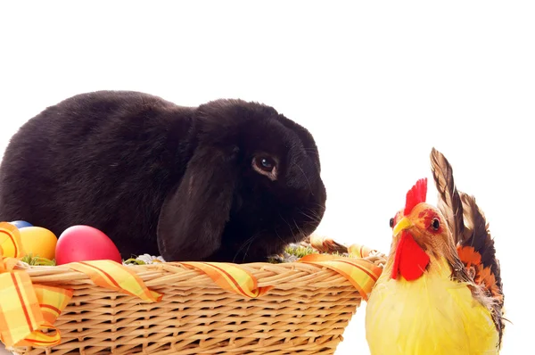 Ostern — Stockfoto