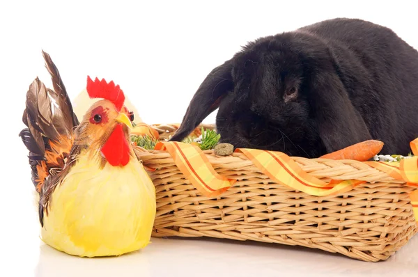 Easter festival — Stock Photo, Image