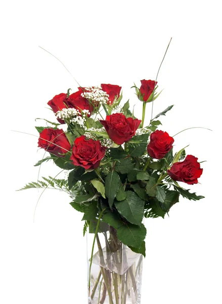 Red roses — Stock Photo, Image