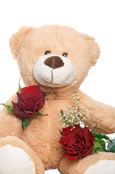 Teddy Bear — Stock Photo, Image