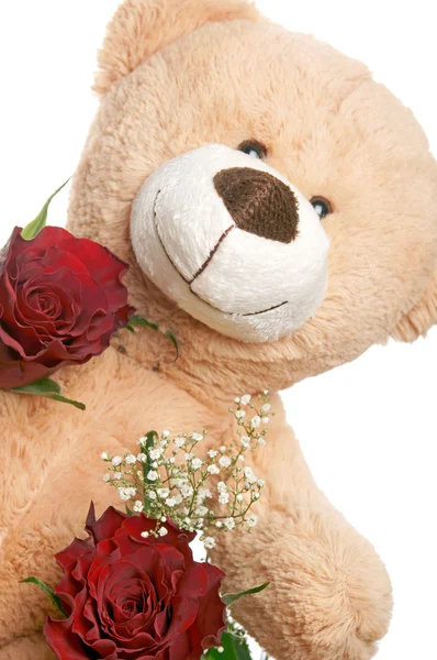 Teddy Bear — Stock Photo, Image