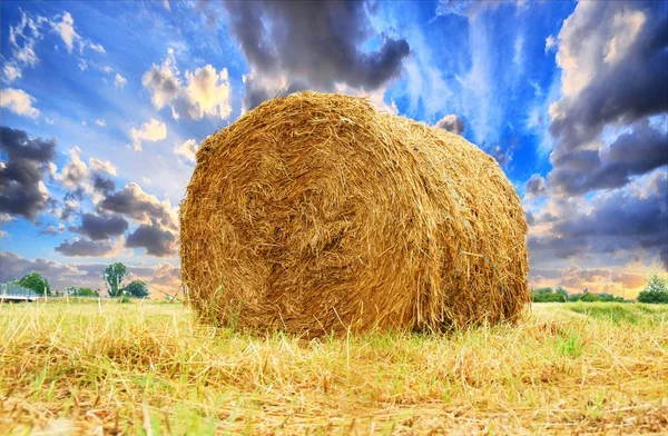 Straw bale — Stock Photo, Image