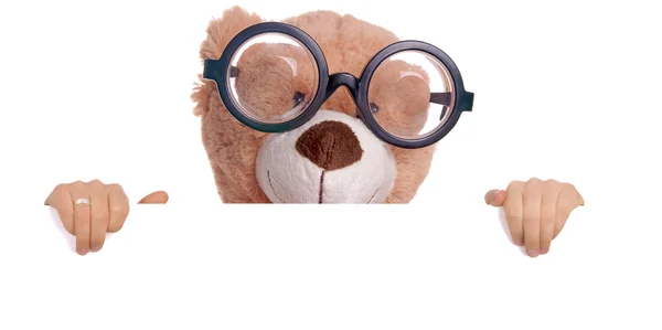 Teddy mit Brille — Stockfoto
