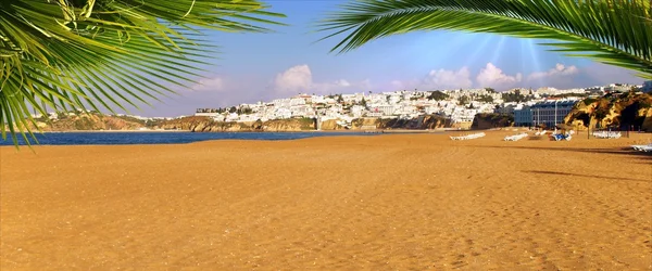 Praia e folhas de palma Fotografia De Stock