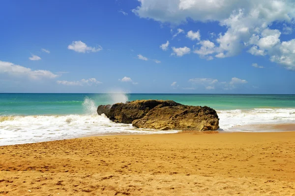 Praia maravilhosa — Fotografia de Stock