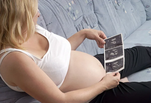 Pregnancy — Stock Image Pregnancy Royalty Free Stock Images