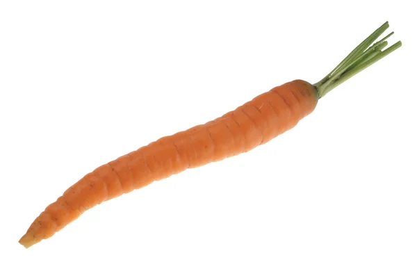 Carrot — Stock Photo, Image