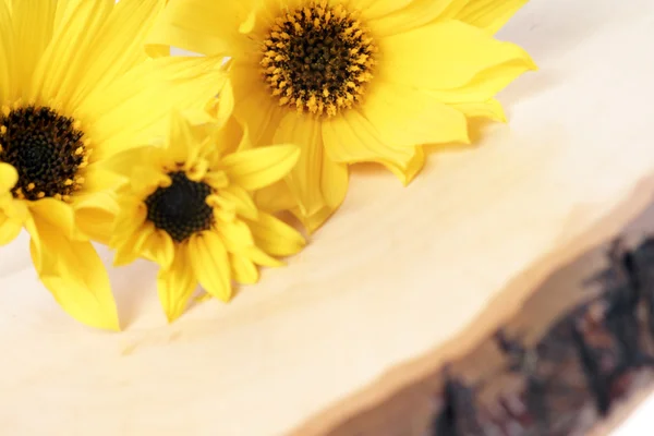 Gelbe Blüten — Stockfoto