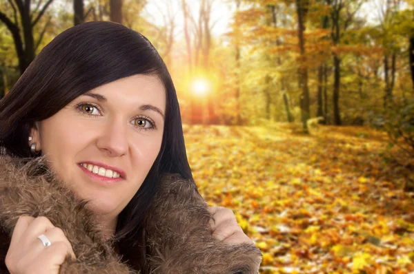 Gouden herfst — Stockfoto