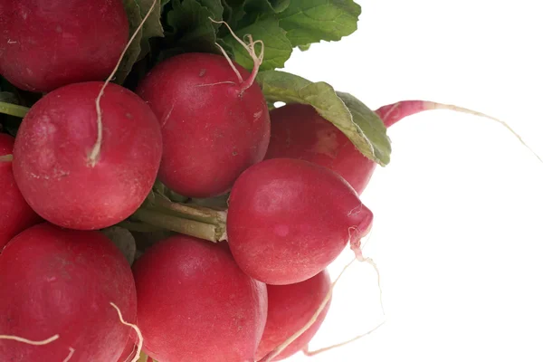 Radish — Stock Photo, Image