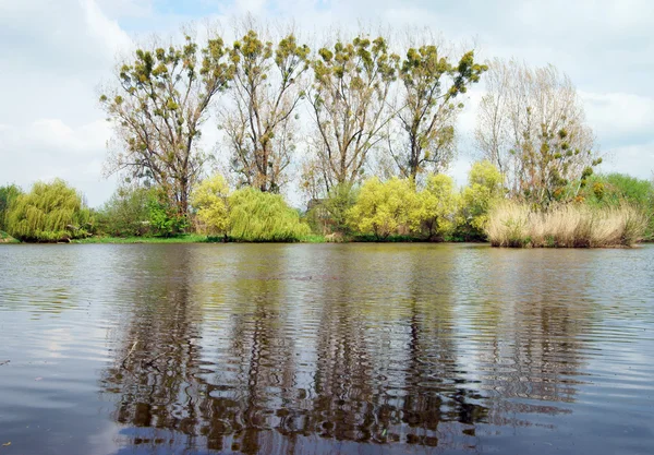 Krajobraz naturalny — Zdjęcie stockowe