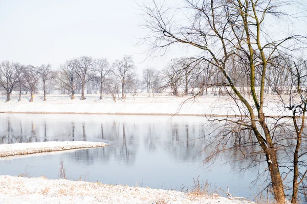 Inverno — Fotografia de Stock