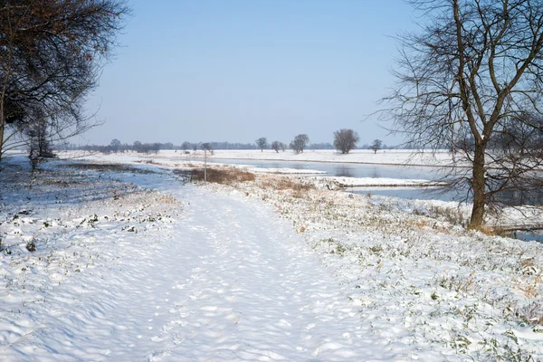 Winter — Stock Photo, Image