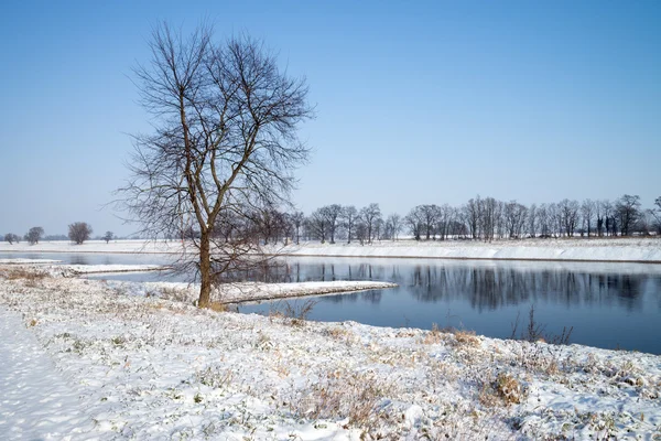 Inverno — Foto Stock