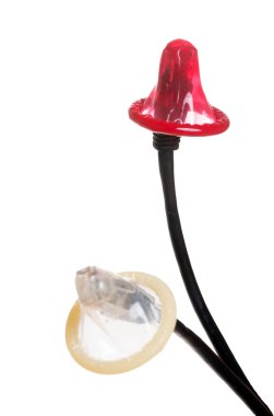 Gizlilik Politikası