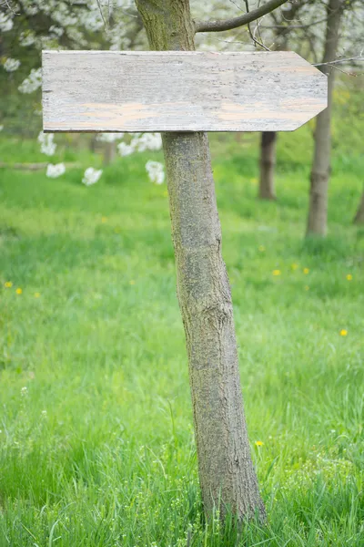 Signo de madera — Foto de Stock