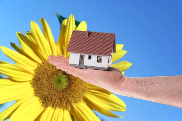 Little House — Stock Photo, Image