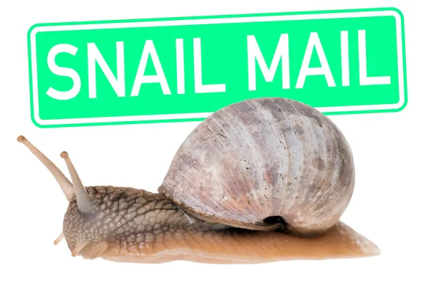 Mail ślimak — Zdjęcie stockowe