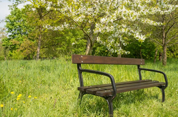 Gartenbank lizenzfreie Stockfotos