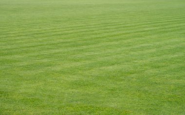 futbol sahası