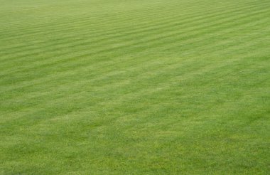 futbol sahası