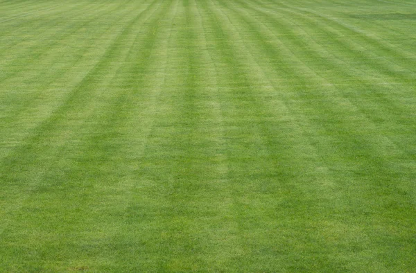 Voetbalveld — Stockfoto