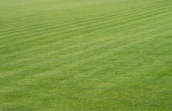 Voetbalveld — Stockfoto